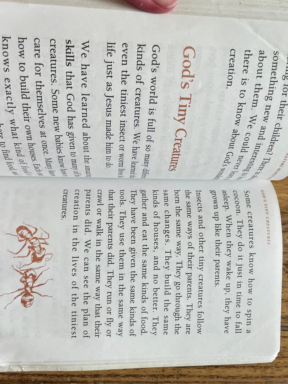 Christian Liberty Press Nature Reader Book 1 - Second Edition